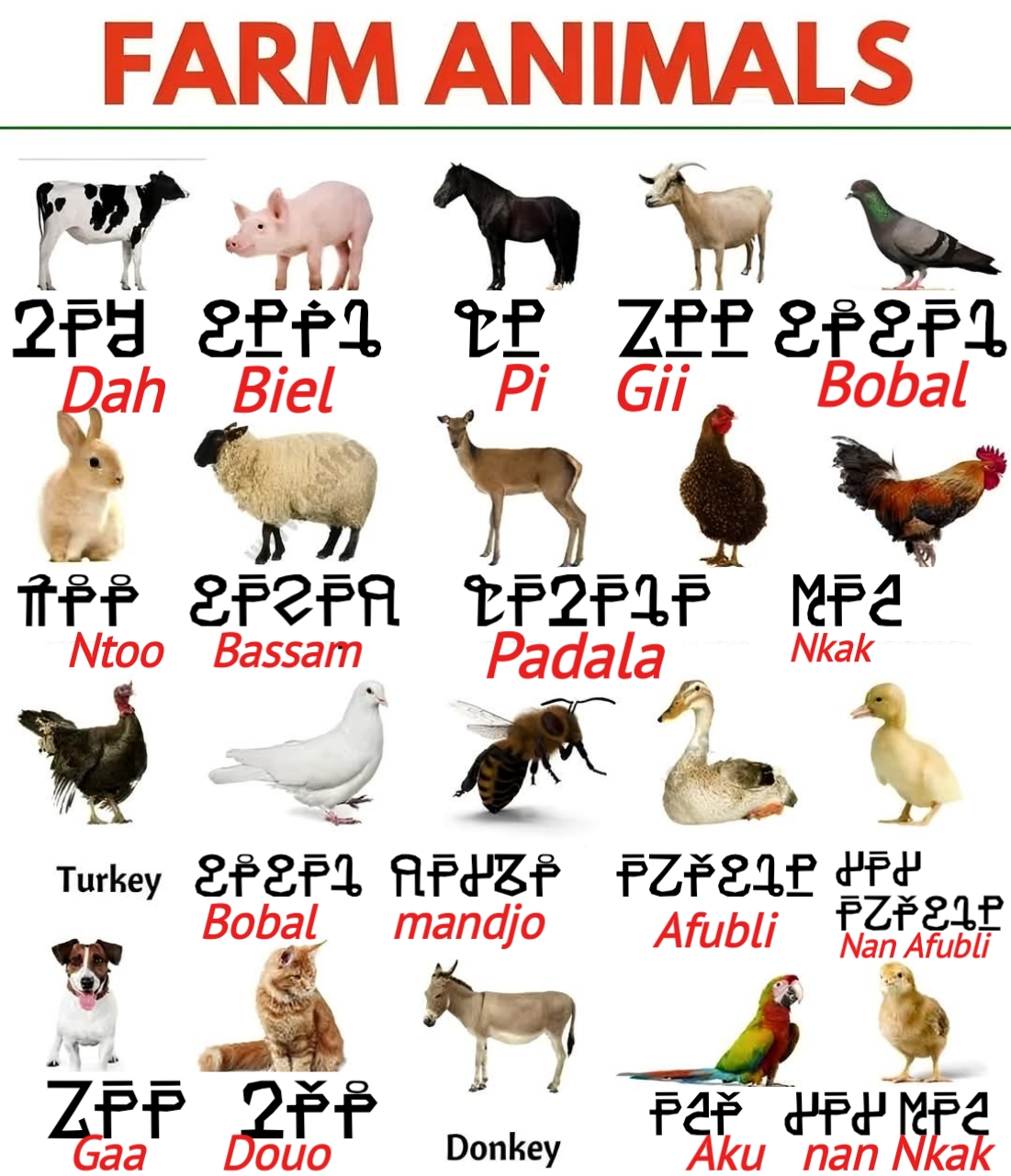 Noms des animaux en Alphabet MONO